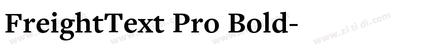 FreightText Pro Bold字体转换